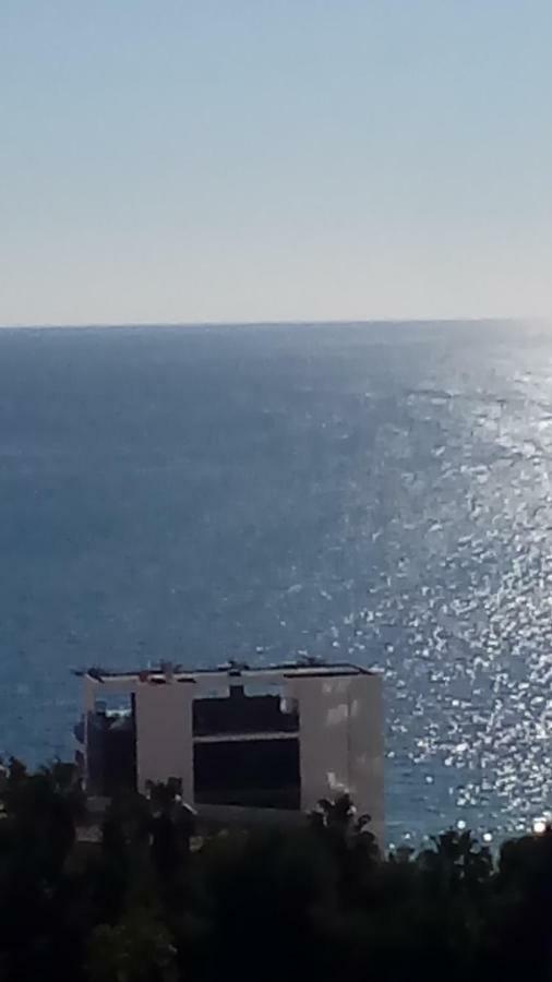 Apartamento "Solaz" Benidorm Eksteriør billede